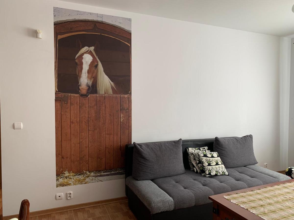 Zawsze Sloneczny Apartament Grzybowo 格里兹鲍 外观 照片