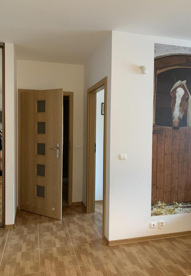 Zawsze Sloneczny Apartament Grzybowo 格里兹鲍 外观 照片